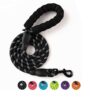 Climbing Rope Dog Leash | Carabiner Dog Lead