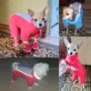 Waterproof Dog Snowsuit | Small Dog Snowsuit | Puppy Snowsuit | Dog Winter Snowsuit