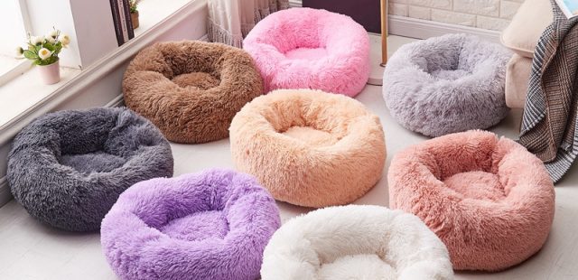 The 8 Best Cute Dog Beds for Small Dog and Puppy