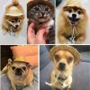 Straw Hat for Dogs | Dog Sun Hat | Cat Sun Hat | Outdoor Dog Accessories