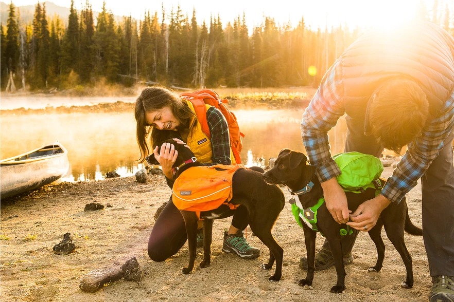 Large Dog Backpack Harness