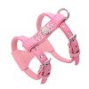 MEGA Cute Dog Harness for Small Dog