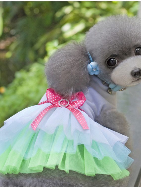 Lovely-Princess-Dog-Dress