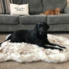 Faux Fur Orthopedic Dog Bed | Faux Fur Dog Blanket