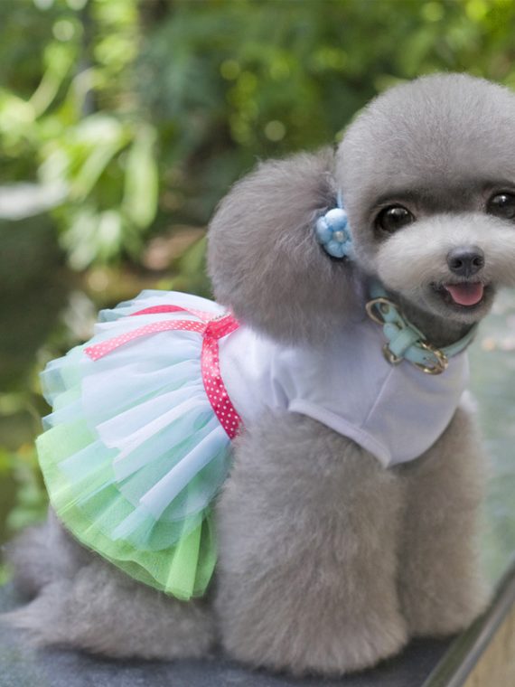 Lovely Princess Dog Dress