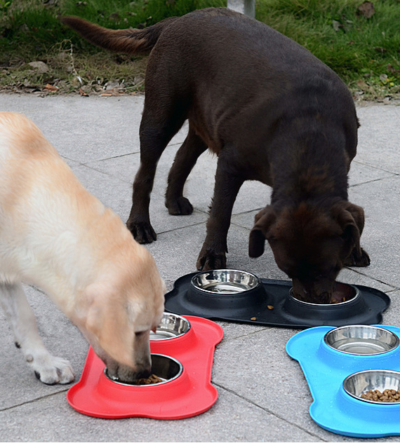 Double Dog Cat Bowls | Premium Stainless Steel Pet Bowls | Anti-Spillage, Anti-Slip