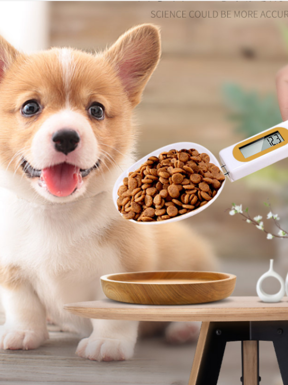 Pet-Feeding-Weighing-Spoon