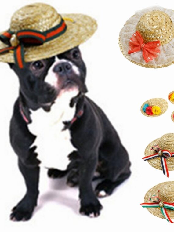 Straw-Hat-for-Dogs-with-Bow