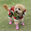 MEGA Summer Breathable Dog Boots with Reflective
