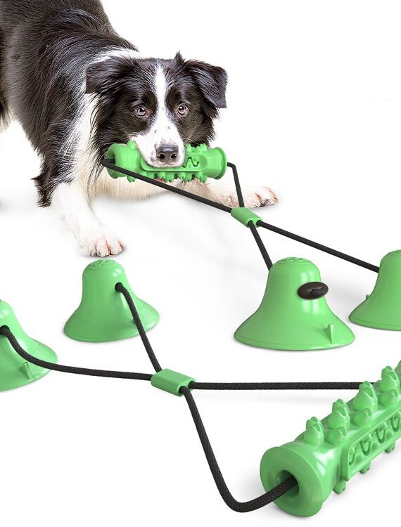 DogMEGA Best Teeth Cleaning Suction
