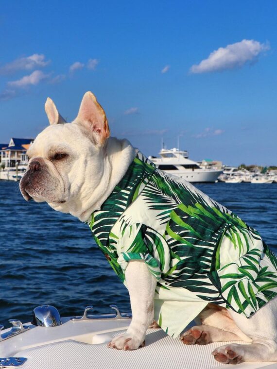 DogMEGA Hawaiian Shirt for Dog