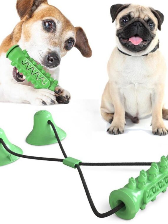 DogMEGA Best Teeth Cleaning Suction