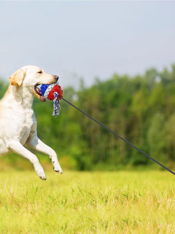 DogMEGA Tug Toys for Dogs Outdoor