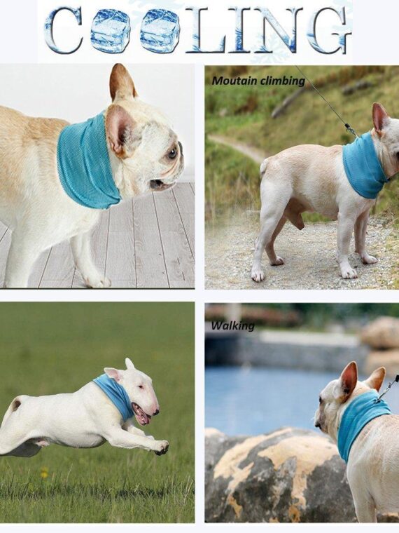 DogMEGA Cooling Dog Bandana
