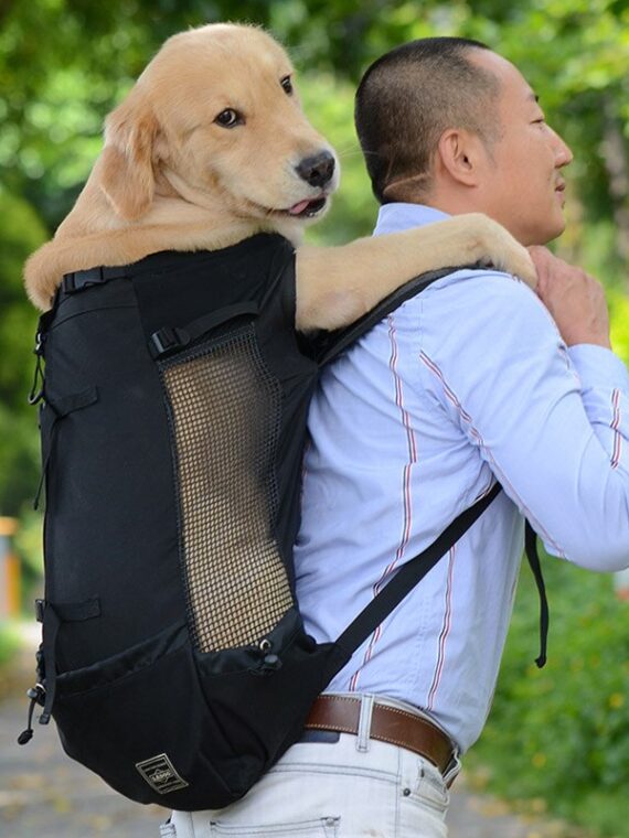 Adjustable-Pet-Dog-Outdoor-Travel-Backpack-For-Hiking-Cycling-Reflective-Carrier-Bag-For-Dogs-French-Bulldog[1]