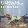 DogMEGA Cooling Dog Vest | Cooling Jacket for Dogs | Cool Coats for Dogs