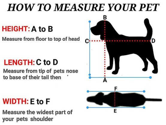 How to measure dog size