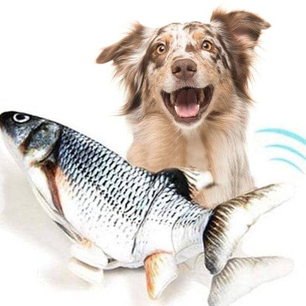 Jumping Fish Interactive Dog Toy
