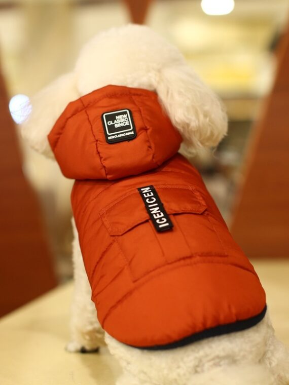 DogMEGA Hoodies Coat | Thickening Hoodies Coat for Small Dog
