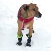 DogMEGA Dog Waterproof Boots | Nonslip Warm Lining Rubber Sole Boots for Winter