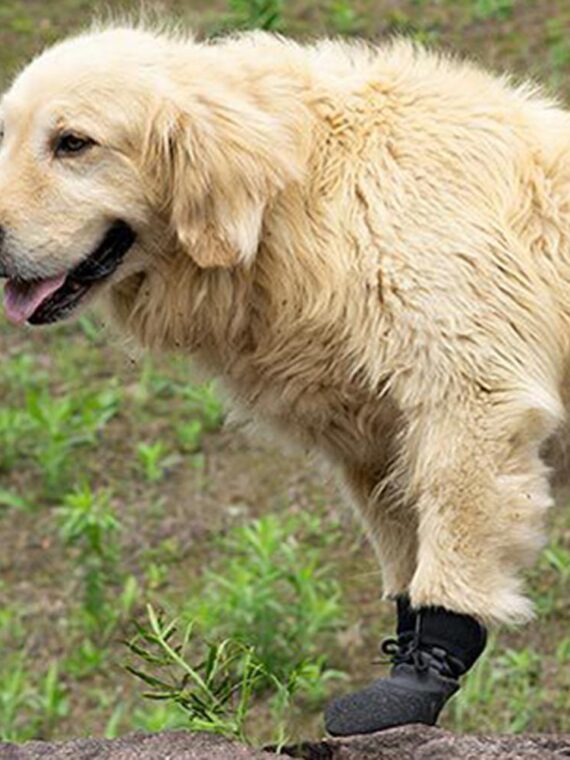 DogMEGA Dog Anti-slip Boots | Breathable Boots for Small Medium Large Dog