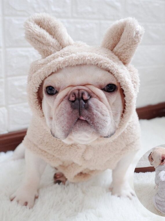 Bear Ear Hoodies for Small Dog