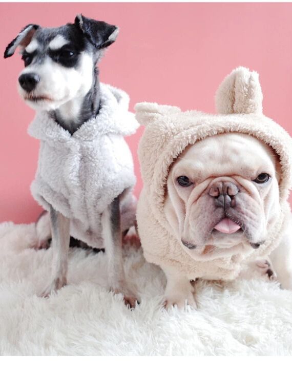 Bear Ear Hoodies for Small Dog (6)_compressed