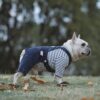 Dog Jumpsuits with Striped | Jumpsuits for Small and Medium Dog | Warm Clothing for Dog