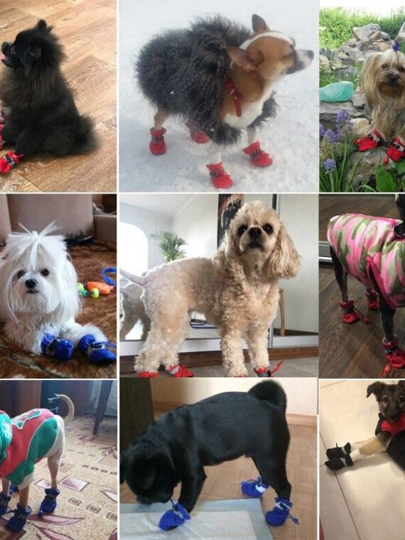 DogMEGA Waterproof Anti-Slip Dog Boots for Outdoor