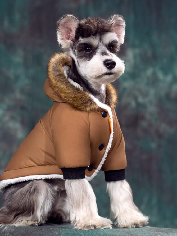 DogMEGA Warm Two-Legged Plush Vest Hoodie | Autumn And Winter Clothes for Small Dog