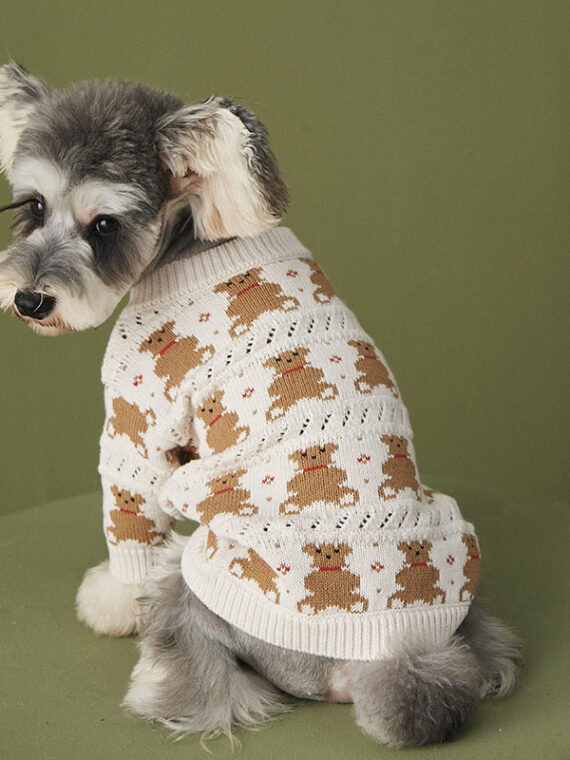 DogMEGA Winter Cardigan Sweater for Small Dog