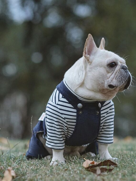 blue-dog-jumpsuits
