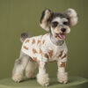 DogMEGA Winter Cardigan Sweater for Small Dog