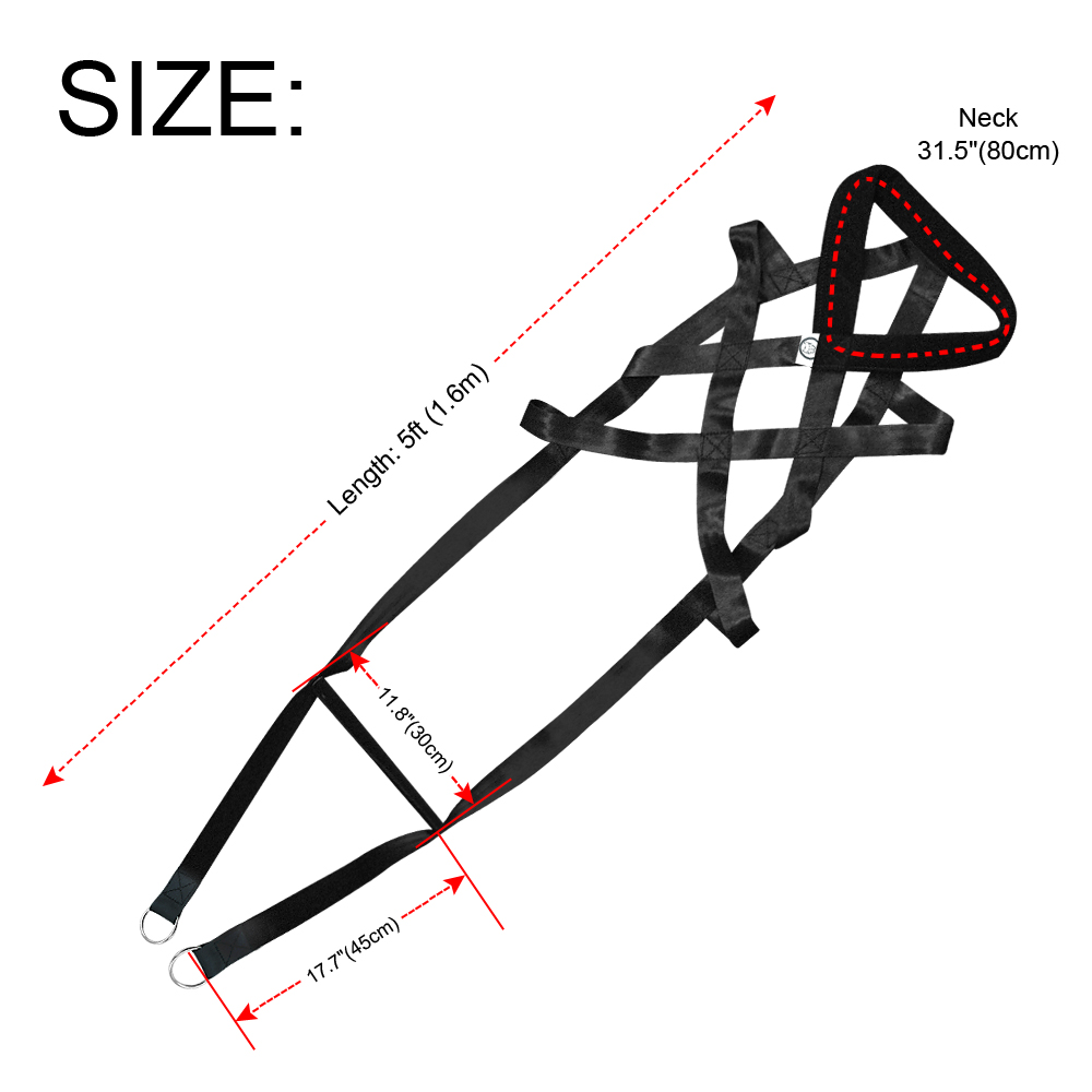 Dog Training Supplies | Dog Leashes Chest Straps