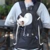 Dog Transport Backpack for Small Dog