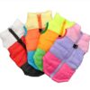 DogMEGA Coloful Warm Jacket for Small Dog | Winter Windproof Dog Jacket