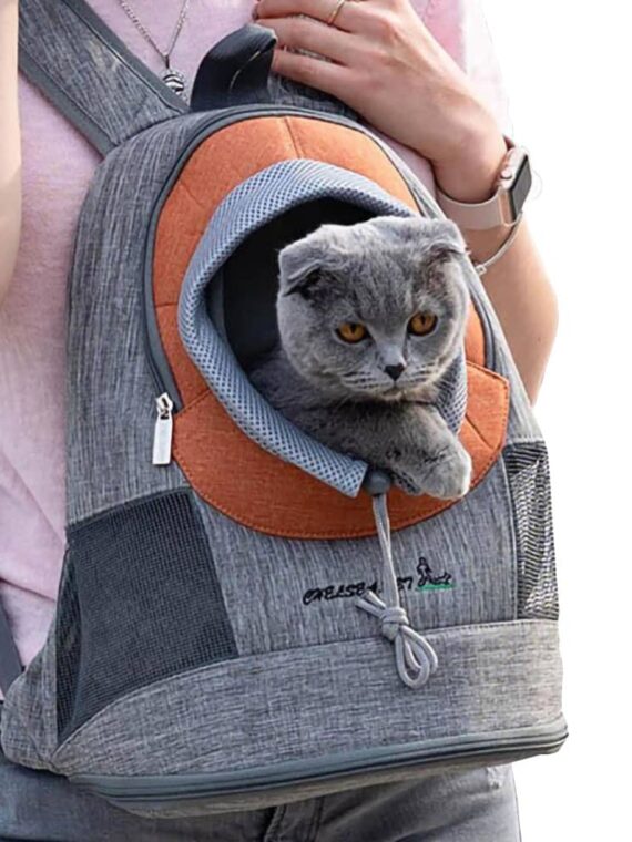 Mini Pet Backpack
