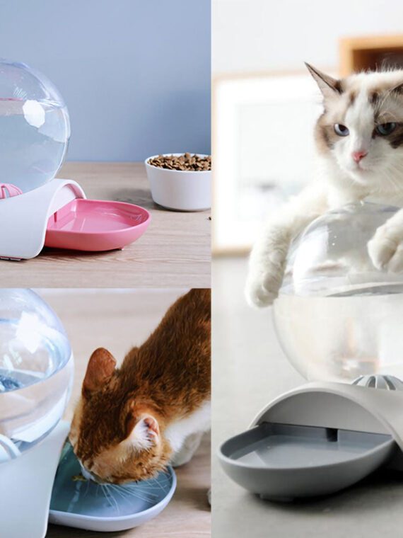 Pet Water Dispenser
