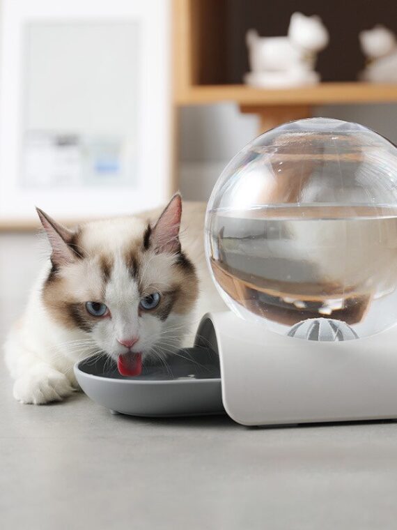 Pet Water Dispenser