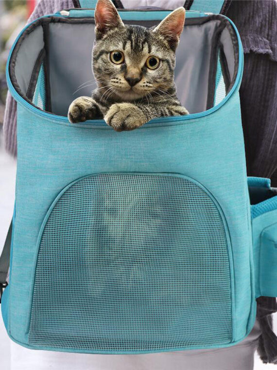 Pet Backpack Carrier