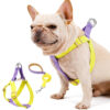 Dog Harness And Leash No Pull Nylon Pet Leashes