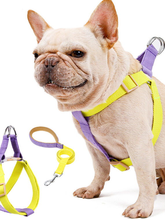 Dog Harness And Leash No Pull Nylon Pet Leashes For Small Dogs