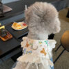 Cute Dog Princess Dress Skirt Walking with Leash