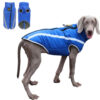 Winter Warm Dog Clothes Waterproof - Reflective