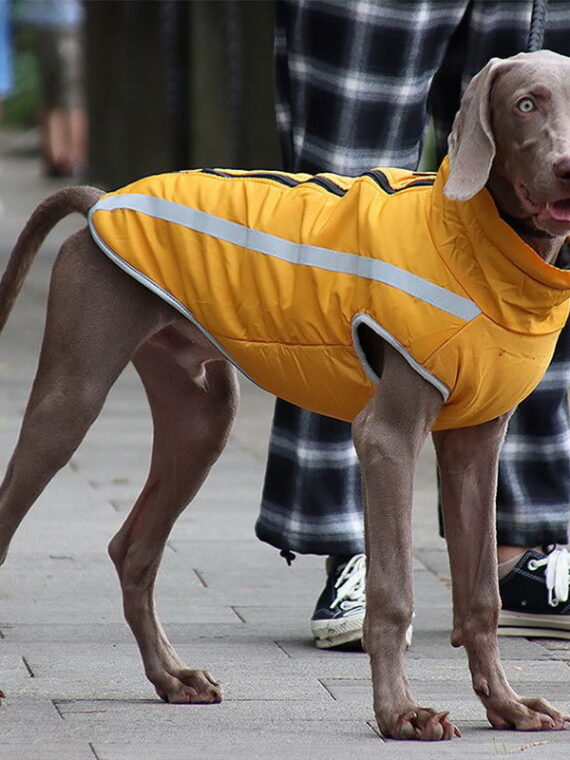 Winter Warm Dog Clothes Waterproof – Reflective
