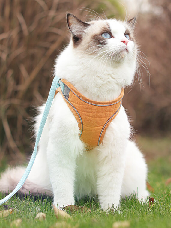 Dog Cat Harness Vest With Walking Lead Leash Adjustable