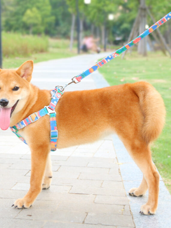 No Pull Dog Harness Set Bohemian Style with Leash