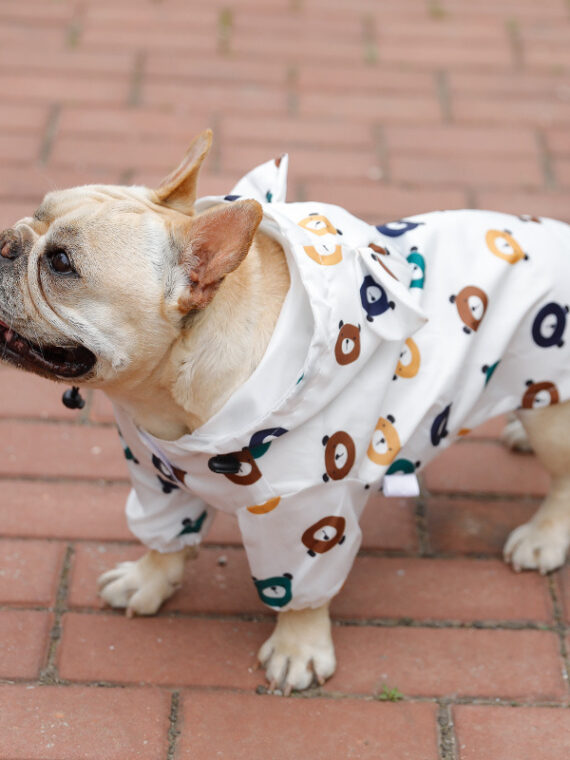 Cute Dog Raincoat Waterproof
