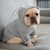 Cute Rabbit Ear Dog Hoodies for Small, Medium Dogs