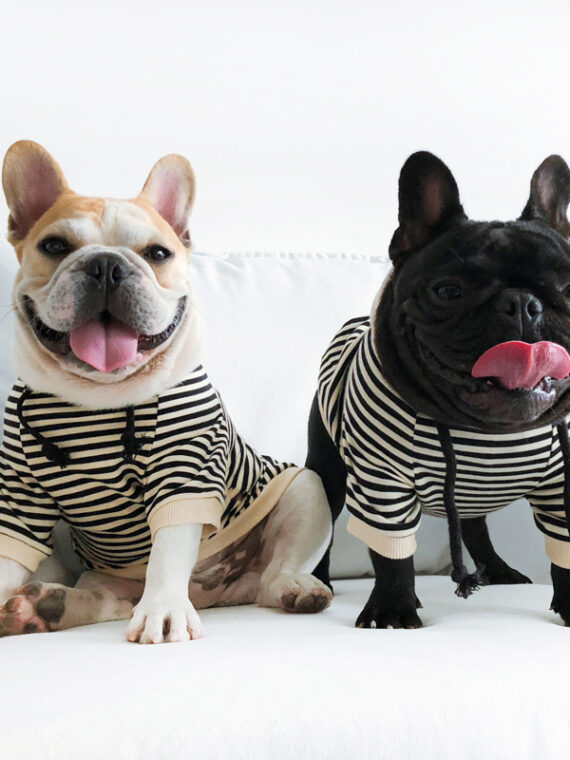 Warm Dog Stripe Hoodies For Small Medium Dogs